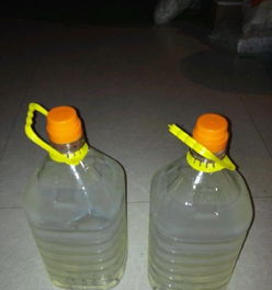 绿色新风尚 土豆淀粉餐具与日用品引领厨卫生活新选择